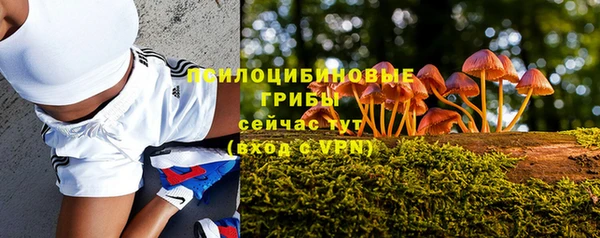 спайс Армянск