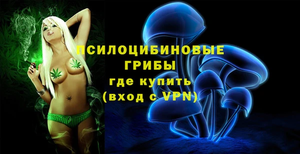 mdpv Арсеньев
