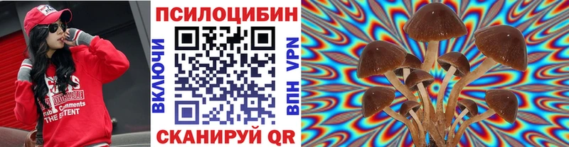 Псилоцибиновые грибы MAGIC MUSHROOMS  хочу наркоту  Асино 